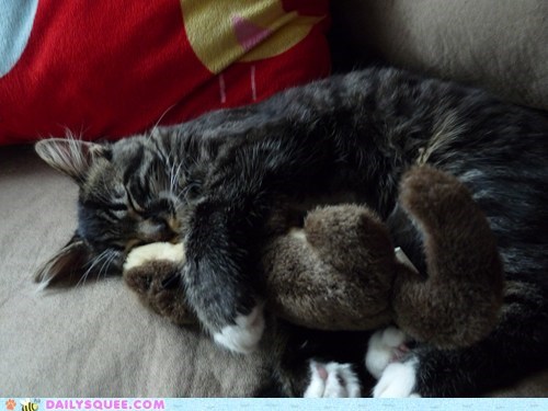 Fern Huggles His Otter