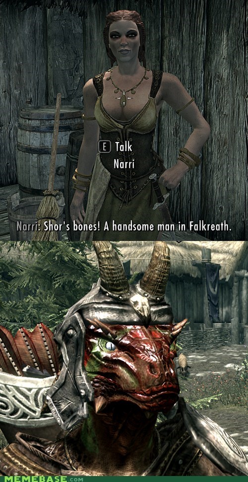 Skyrim's Standards Aren't High