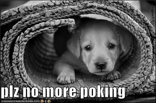 plz no more poking