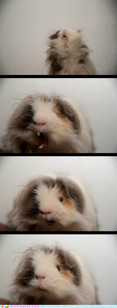 YAWN!
