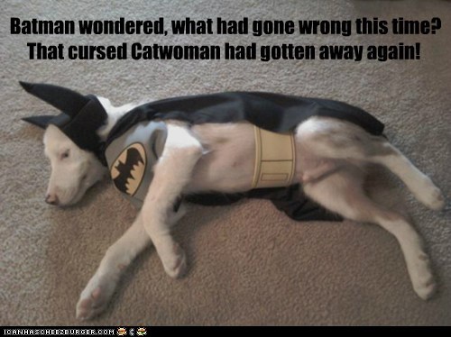 Batman wondered, what had gone wrong this time? That cursed Catwoman had gotten away again!