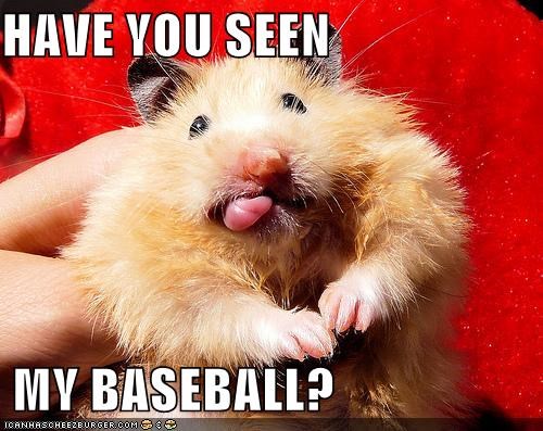 HAVE YOU SEEN   MY BASEBALL?