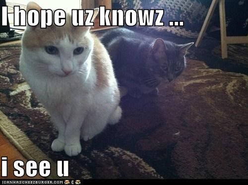 I hope uz knowz ...  i see u