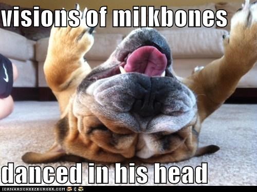 visions of milkbones