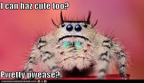 I can haz cute too?  Pwetty pwease?
