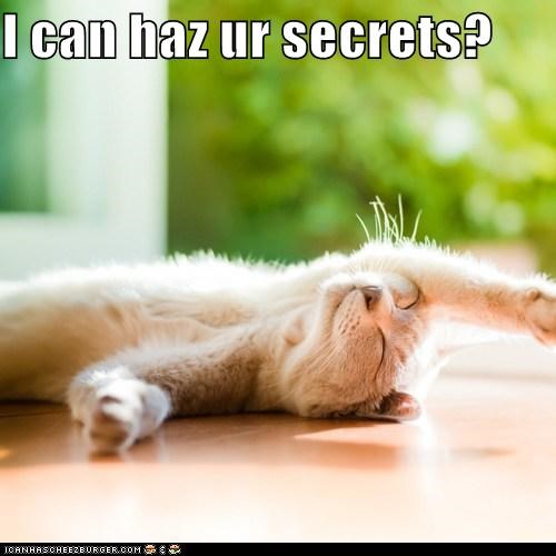 I can haz ur secrets?