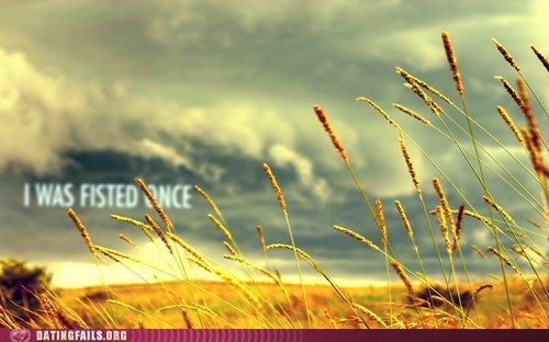 Confessions in a Field of Wheat