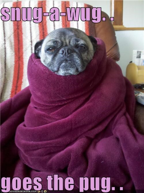 snug-a-wug