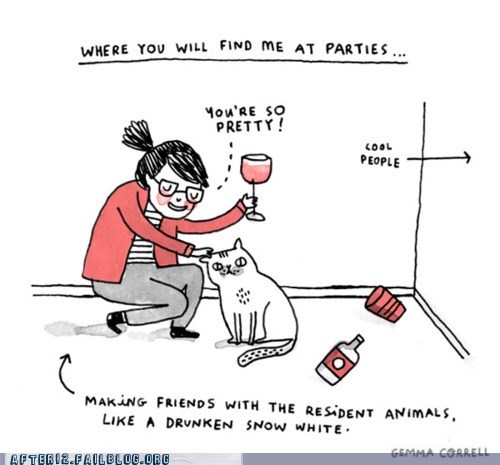 After 12: Cats Are More Interesting Than Drunk People