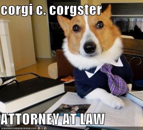 corgi c. corgster