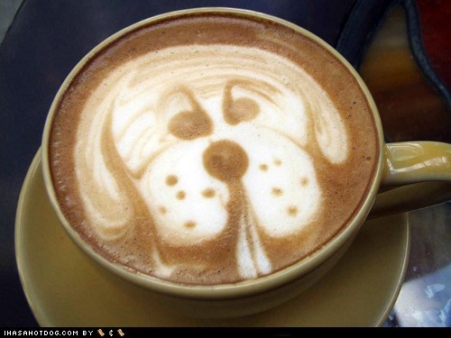 I need About 50 of These... STAT