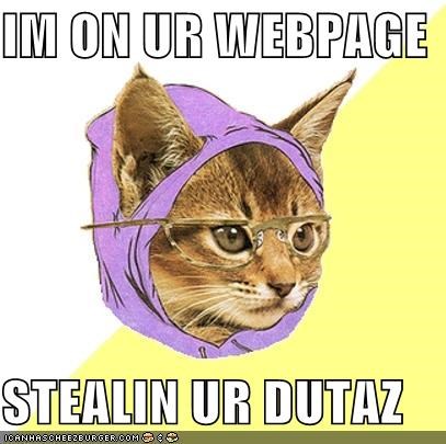 IM ON UR WEBPAGE  STEALIN UR DUTAZ