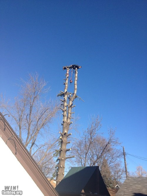 Epic Plank WIN