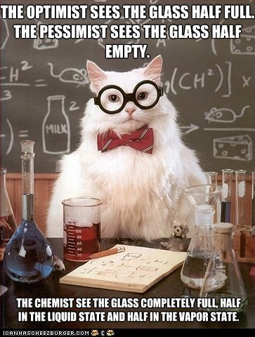 MemeCats: Um, I Just Wanted a Glass of Water, Not a Lecture...