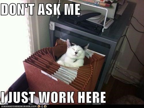 DON'T ASK ME