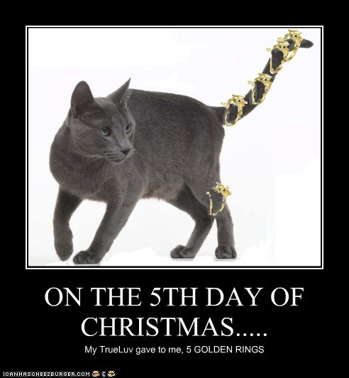 ON THE 5TH DAY OF CHRISTMAS.....