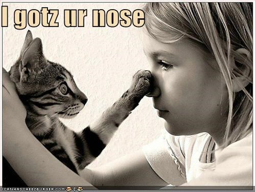 I gotz ur nose