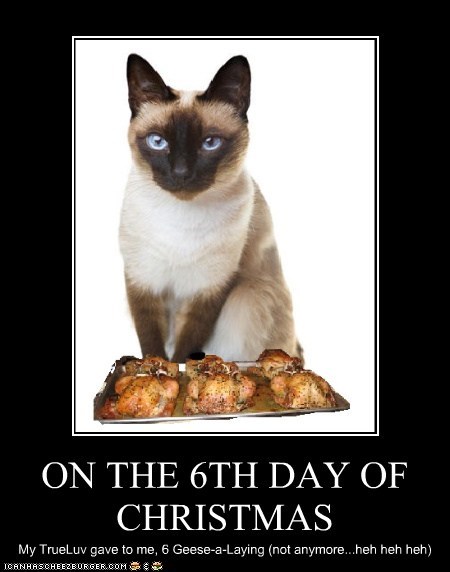 ON THE 6TH DAY OF CHRISTMAS