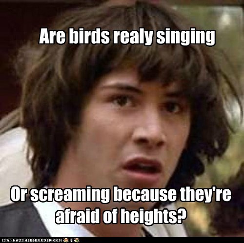 Shrill and Soulful Screaming