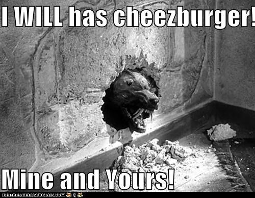 I Will Has Cheezburger