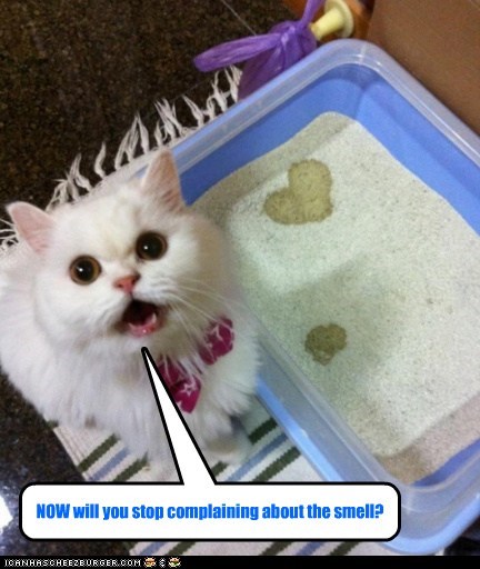 NOW will you stop complaining about the smell?