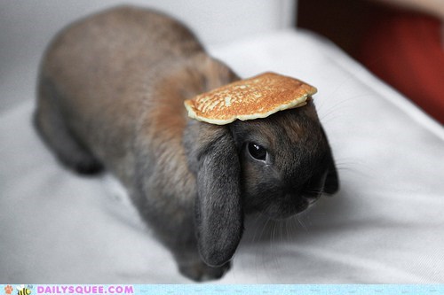 Acting Like Animals: Floppy-Eared Flapjacks, Part Two
