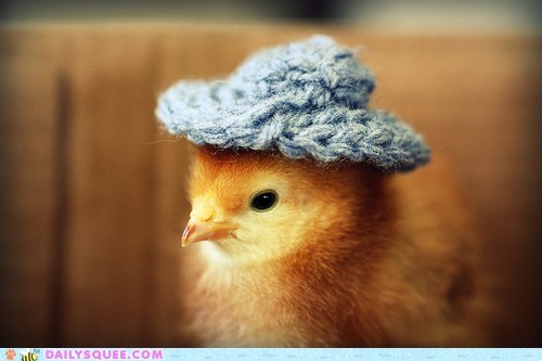 Hatters Gonna Hat