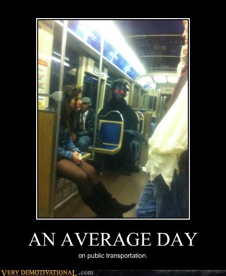 AN AVERAGE DAY