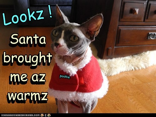 A Warmz for me !
