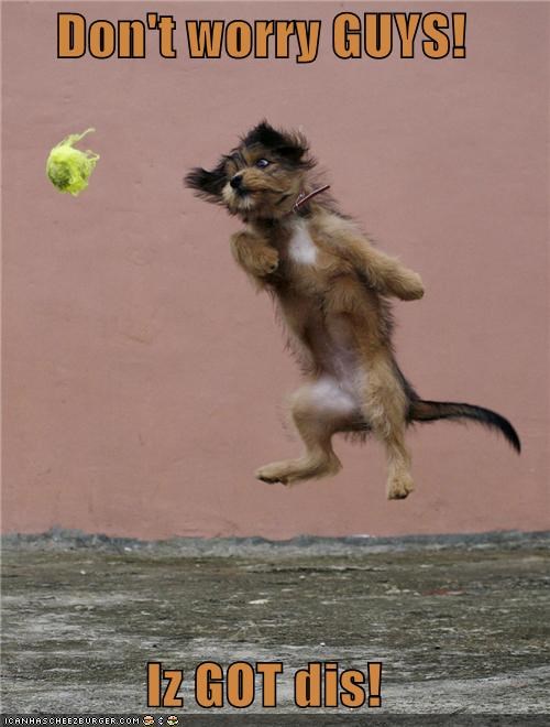 Don't worry GUYS!  Iz GOT dis!