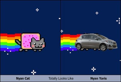Nyan Cat Totally Looks Like Nyan Yaris