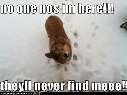 no one nos im here!!!  theyll never find meee!!