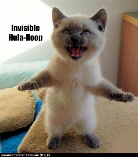 Invisible