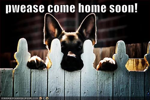 pwease