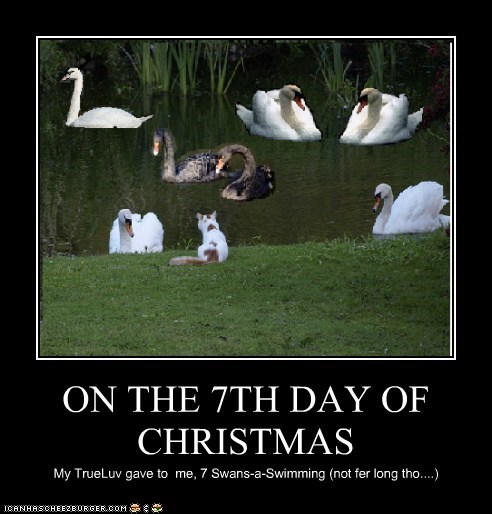 ON THE 7TH DAY OF CHRISTMAS