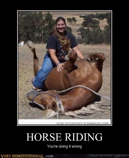 HORSE RIDING