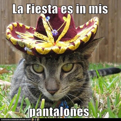 La Fiesta