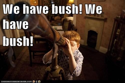 We have bush! We have  bush!