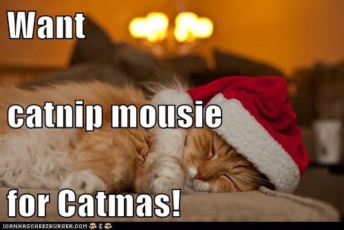 Want   catnip mousie for Catmas!