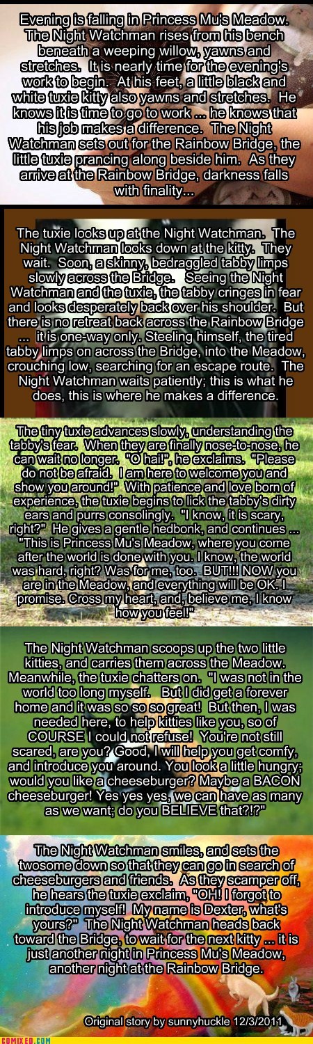 The Night Watchman and Dexter. An original short story by sunnyhuckle
