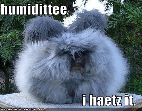 humidittee  i haetz it.