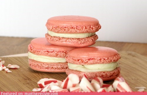 Epicute: Minty Fresh Macarons