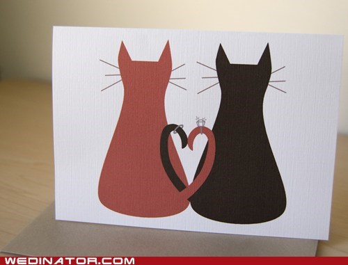 Nine Lives Together