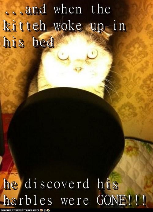 ...and when the kitteh woke up