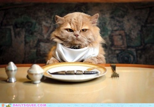 Acting Like Animals: I Was Expecting a Fancier Feast...