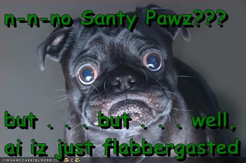 n-n-no Santy Pawz???
