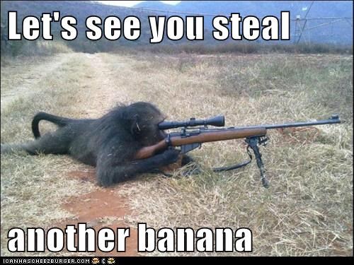 Trained Killer He Is