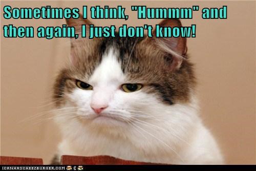 Sometimes I think, "Hummm" and then again, I just don't know!