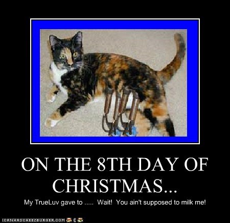ON THE 8TH DAY OF CHRISTMAS...