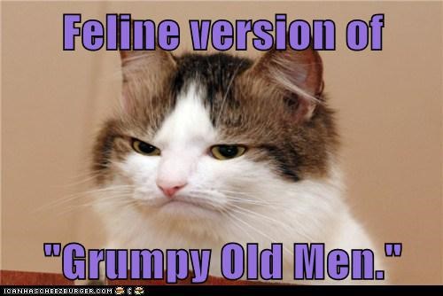 Feline version